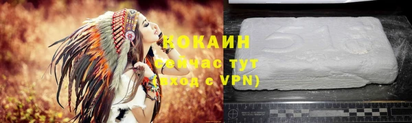 сатива Козельск
