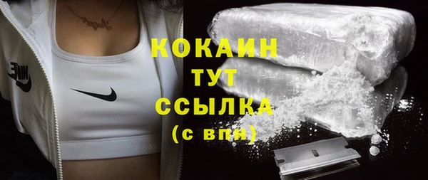 хмурый Козловка
