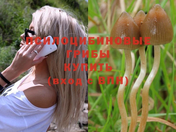 хмурый Козловка