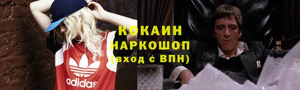 хмурый Козловка