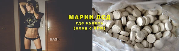 сатива Козельск