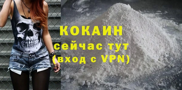 сатива Козельск