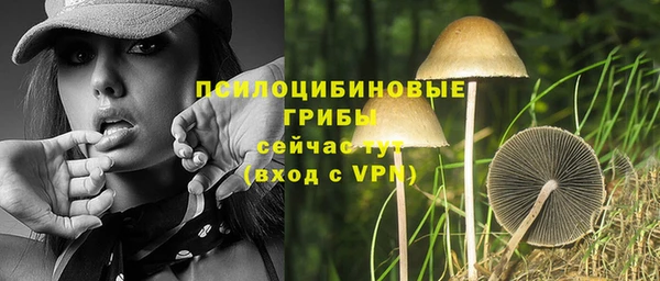 сатива Козельск