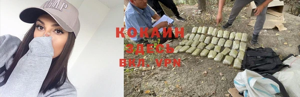 хмурый Козловка