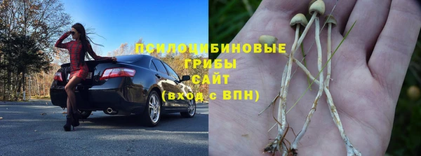a pvp Кодинск